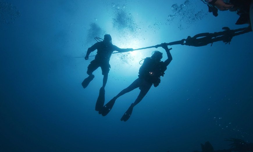 Q&A: Mike Zimmer of ‘Destination Dive’ on Reef Conservation, Shipwrecks and Why the Florida Keys Are a Diving Hotspot