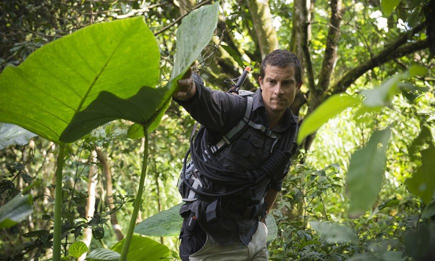 Bear Grylls Reflects on Mind-Blowing Moments from His First TV Show
