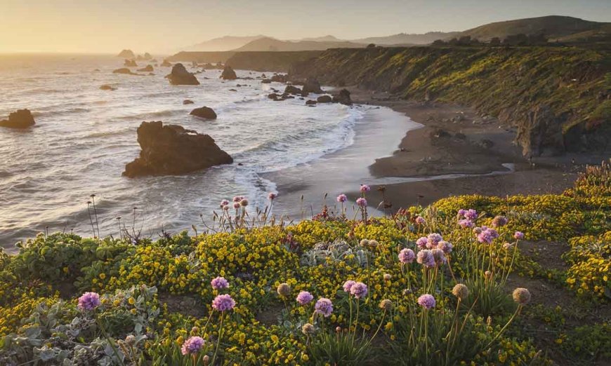 California’s Biggest Waves Are Doubling in Size Because of Climate Change
