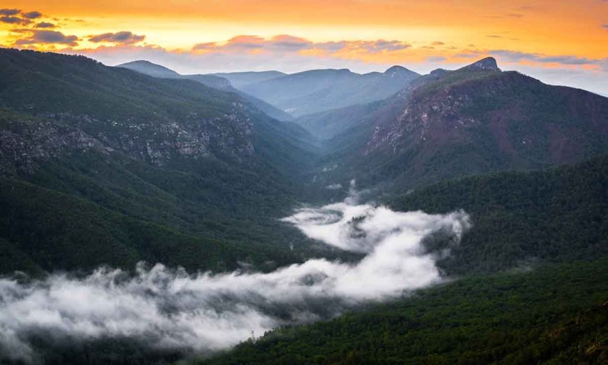 The Grand Canyon of the East: Explore North Carolina’s Linville Gorge