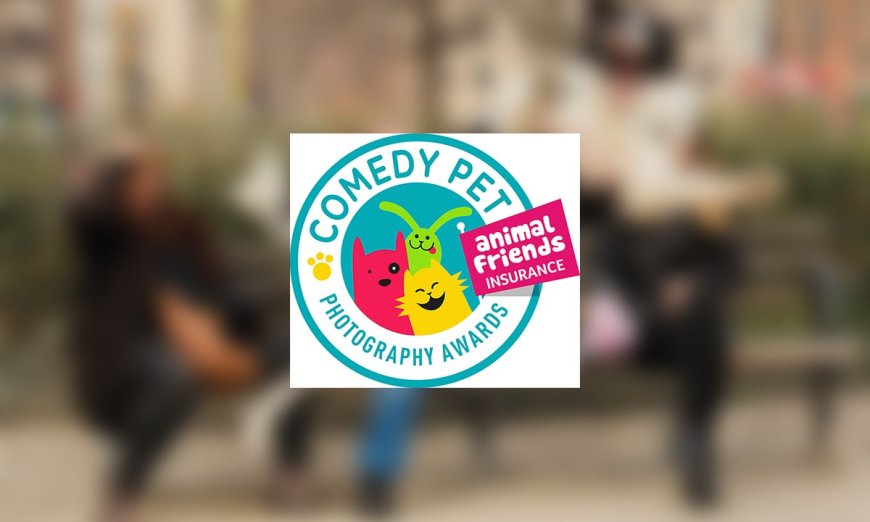 Winners of the 2023 Comedy Pet Awards Announced