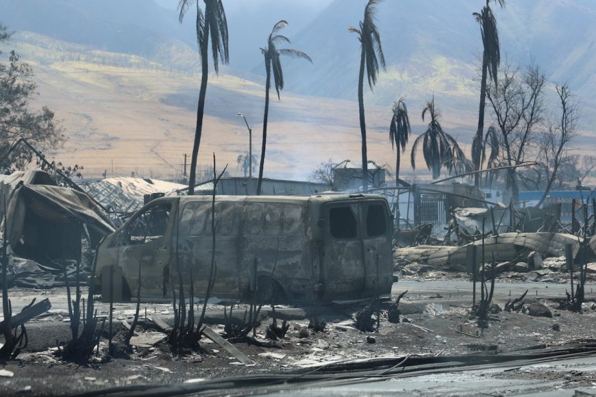 Want To Help Maui Wildfire Victims? Watch Out for Scams
