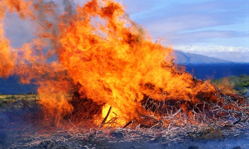 What Caused the Maui Fires? Here’s What We Know