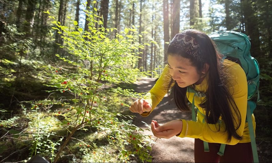 The Foolproof Four: The 4 Easiest Wild Berries to Forage