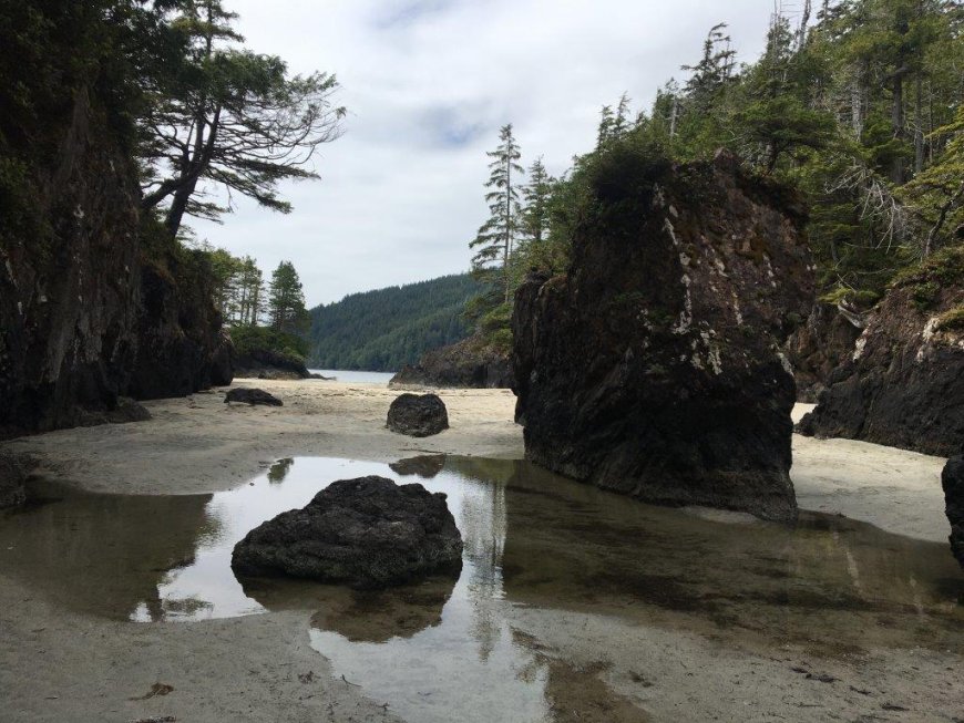 Exploring North Vancouver Island, British Columbia – Sayward to Port McNeill