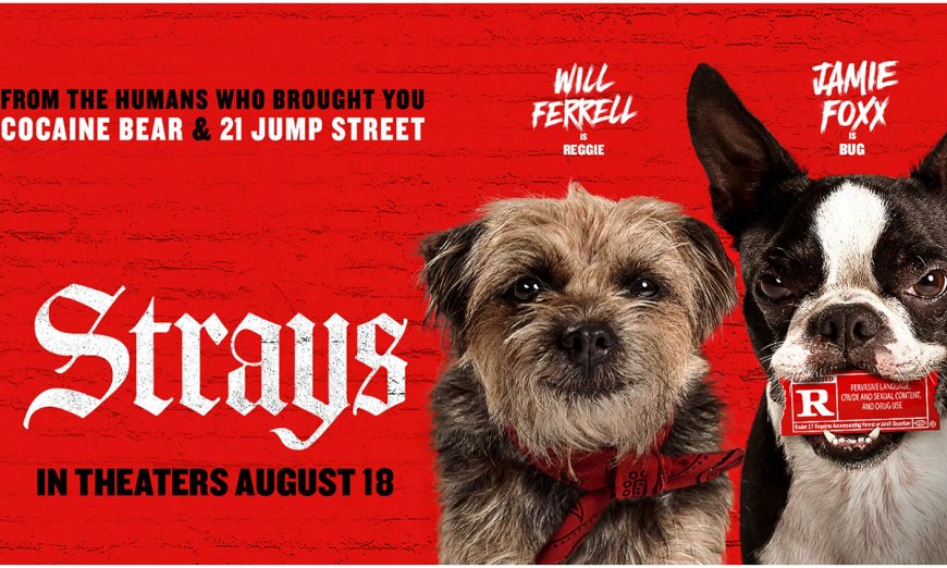 Where Was Strays Filmed?