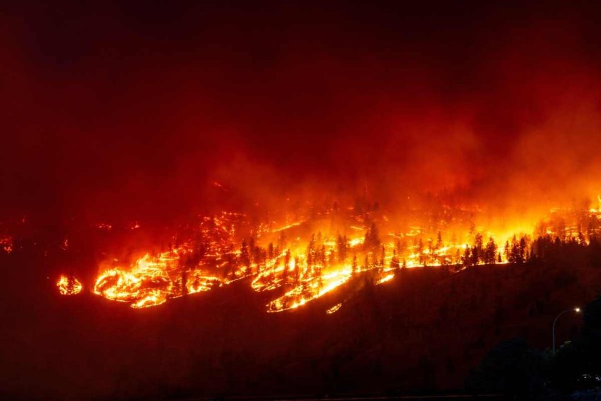 What’s Happening with the Canadian Wildfires? If You Love the Outdoors, This Smoke Map May Make You Anxious