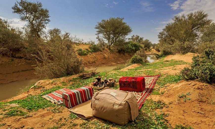 Cozy Upgrades: Rugs to Make the Outdoors Feel More Like Home