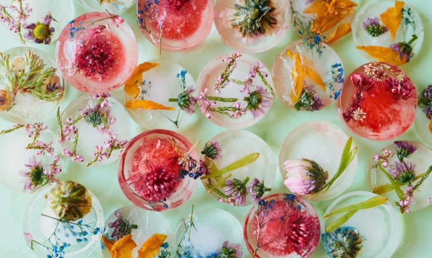 The Newest Camping Trend Is . . . Fancy Ice?