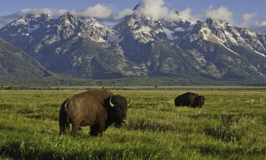 Celebrate the National Park Service Birthday with Your Story