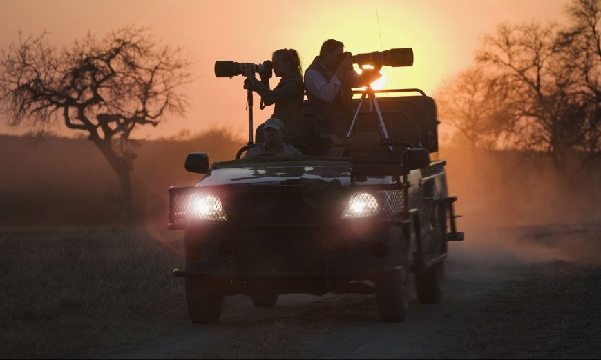 Ask Outdoors: What Are Some Wildlife Photography Ethics to Follow?
