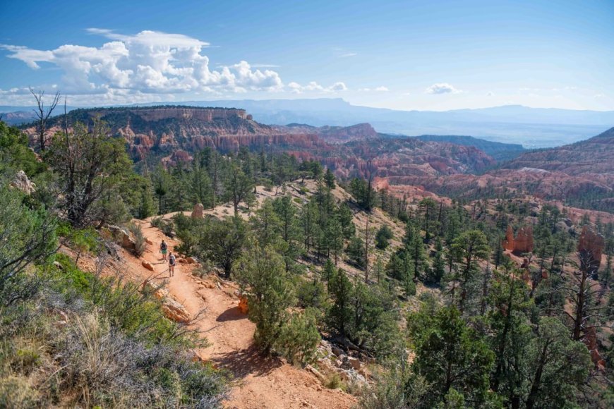 Woman Found Dead in Bryce Canyon National Park After Heavy Rain Moves Through the Area