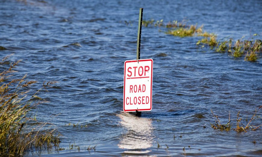 Parts of Florida Gulf Coast Under State of Emergency