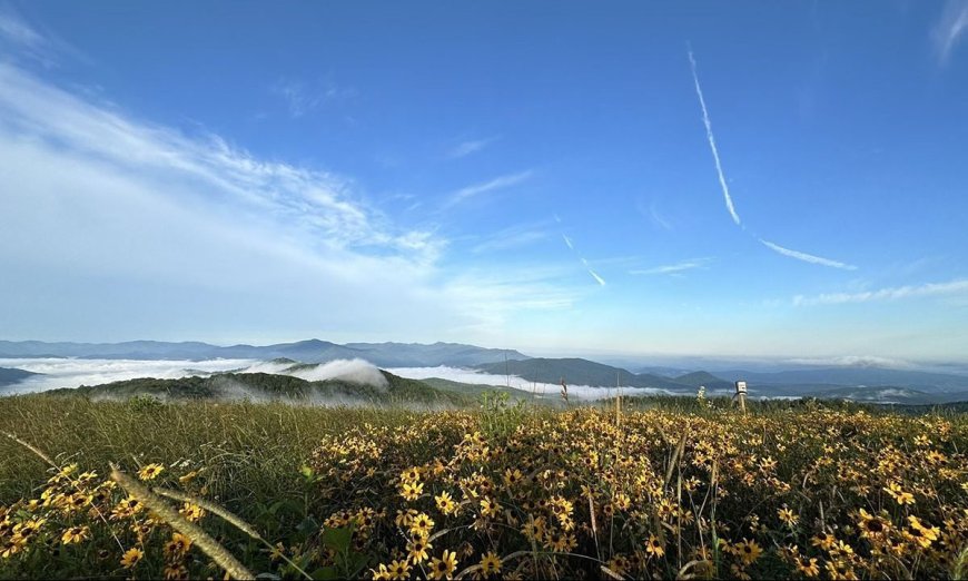 8 of the Most Epic Stops along the Appalachian Trail, from McAfee Knob to Franconia Ridge