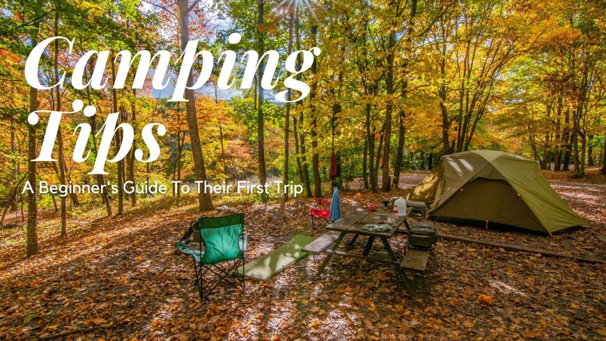 Essential Tips for First-Time Campground Visitors