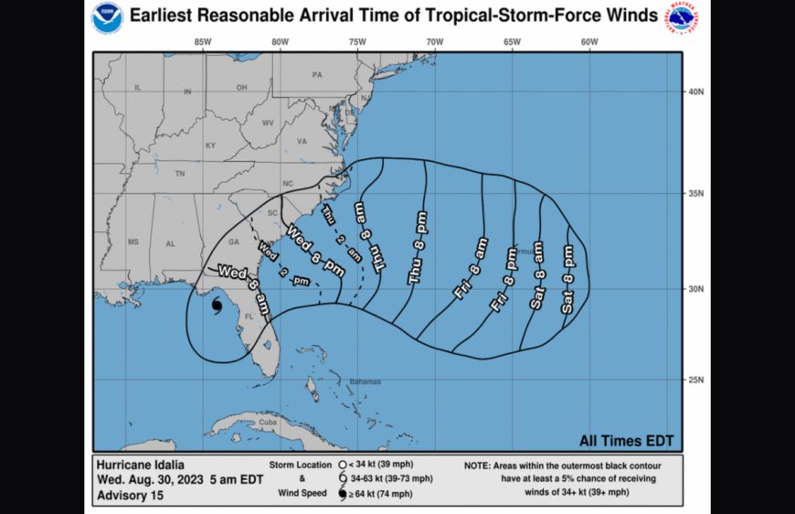 Here Are the First Videos From Hurricane Idalia as it Makes Landfall in Florida
