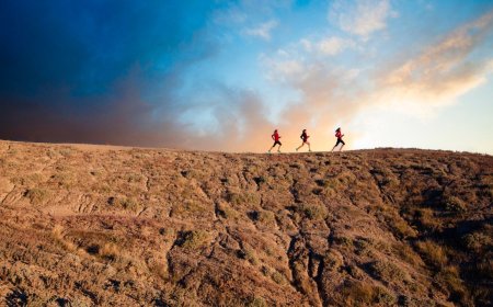 How to Hit the Ground Running: Essentials for Beginner Trail Runners 