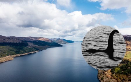 The Biggest Search For the Loch Ness Monster in 50 Years Has Been Completed. Here’s What They Found