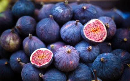 Fall Foraging Adventures: 10 Nutritious Wild Foods to Gather in Autumn