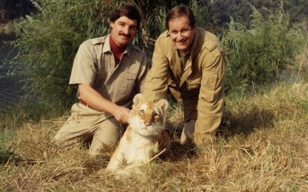 5 Things You Didn’t Know About ‘Mutual of Omaha’s Wild Kingdom’