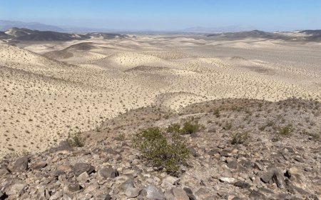 The Latest in Protected Area News: There’s More Public Land for You to Enjoy in the California Desert