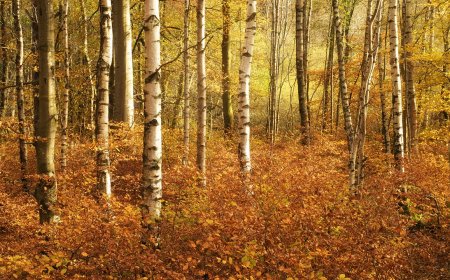 Last-Minute Travel Ideas for the Autumn Equinox