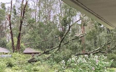 Camping Meals in a Hurricane Hurry