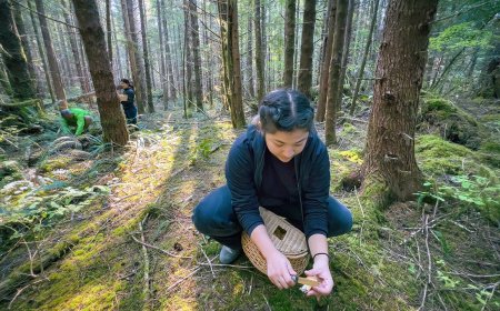 Essential Foraging Tools: 5 Must-Have Items for Successful Wild Food Harvesting