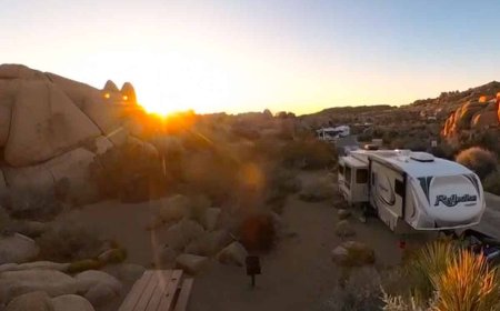 Joshua Tree National Park Camping: Complete Trip Guide
