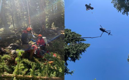 Family Shares New Details in Terrifying Montana Bear Attack