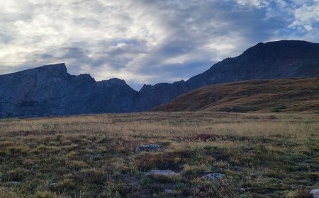 14 Dog-Friendly Trails in the U.S.