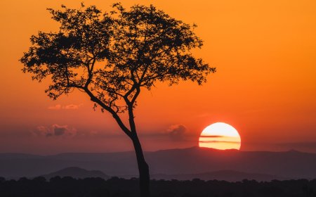 5 Things You Didn’t Know About Kruger National Park 