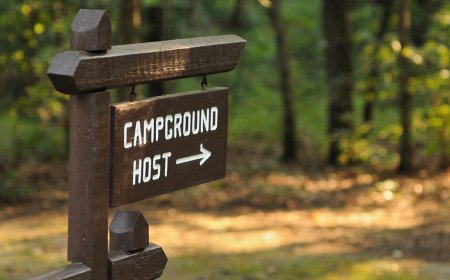 How to Be a Campground Host, Plus Benefits and Challenges of the Role