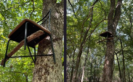 ‘Find Something Safe To Do’: Oklahoma Wildlife Officials Call out Poorly Constructed Tree Stand