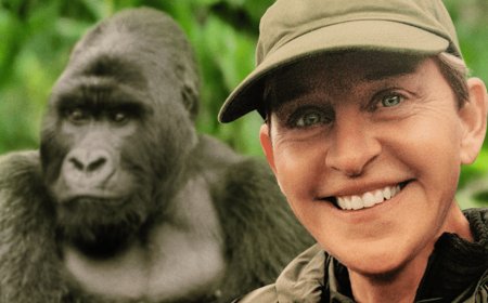 Ellen Saves the Gorillas in New Documentary