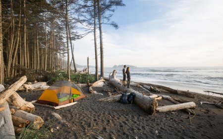 5 Things You Didn’t Know About Olympic National Park