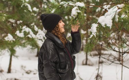 5 Mushrooms to Forage in Winter