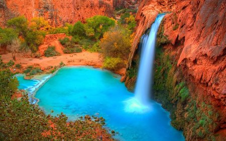 The Ultimate Guide to the Top Hiking Trails in North America