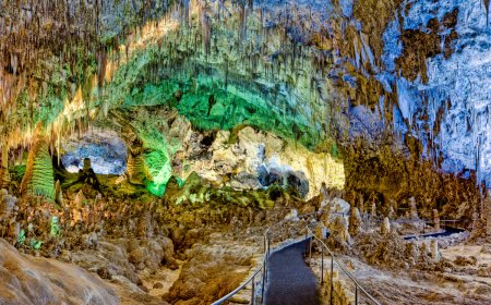5 Facts You Didn’t Know About Carlsbad Caverns National Park