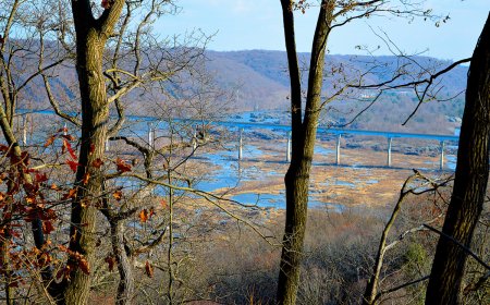 Appalachian Trail Officials Warn Hikers About Potentially Dangerous Felony Suspect Who May Be on Trail