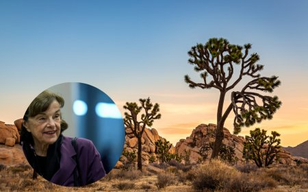 Sen. Dianne Feinstein Leaves Behind a Track Record of Protecting America’s Deserts