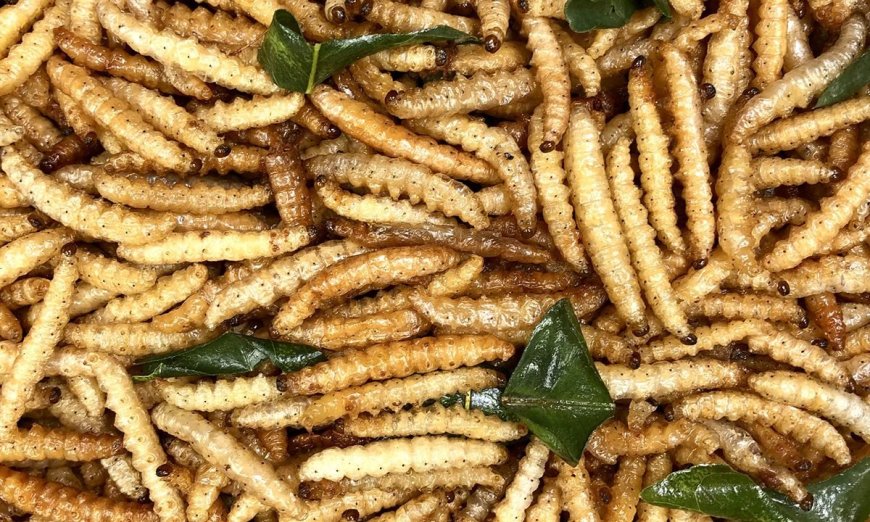 Bugging Out: A Guide to Incorporating Edible Insects into Your Diet