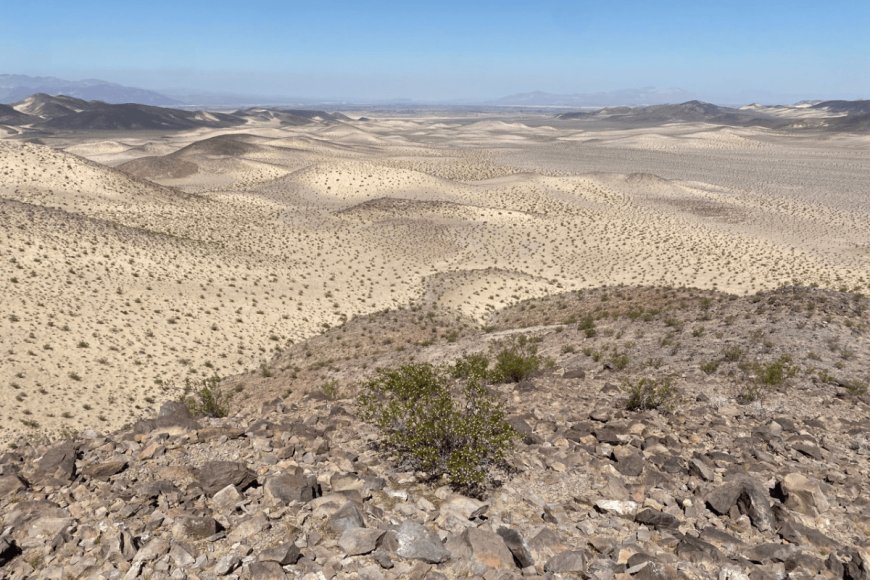 The Latest in Protected Area News: There’s More Public Land for You to Enjoy in the California Desert