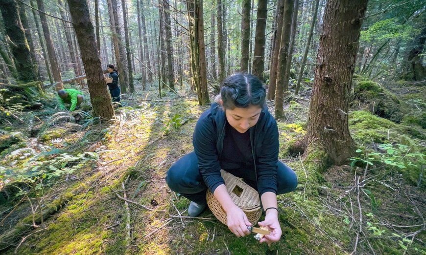 Essential Foraging Tools: 5 Must-Have Items for Successful Wild Food Harvesting