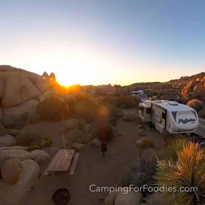 Joshua Tree National Park Camping: Complete Trip Guide