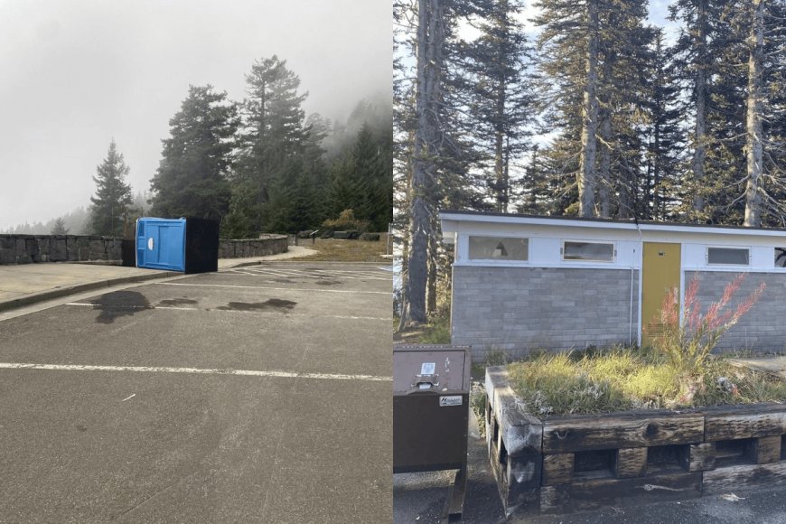 Vandalism Hits Olympic National Park – Here’s How It Could Impact Visitors