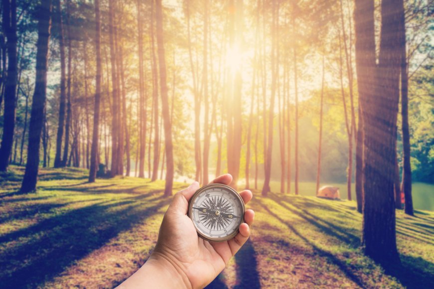 The Best Survival Tips From Reddit