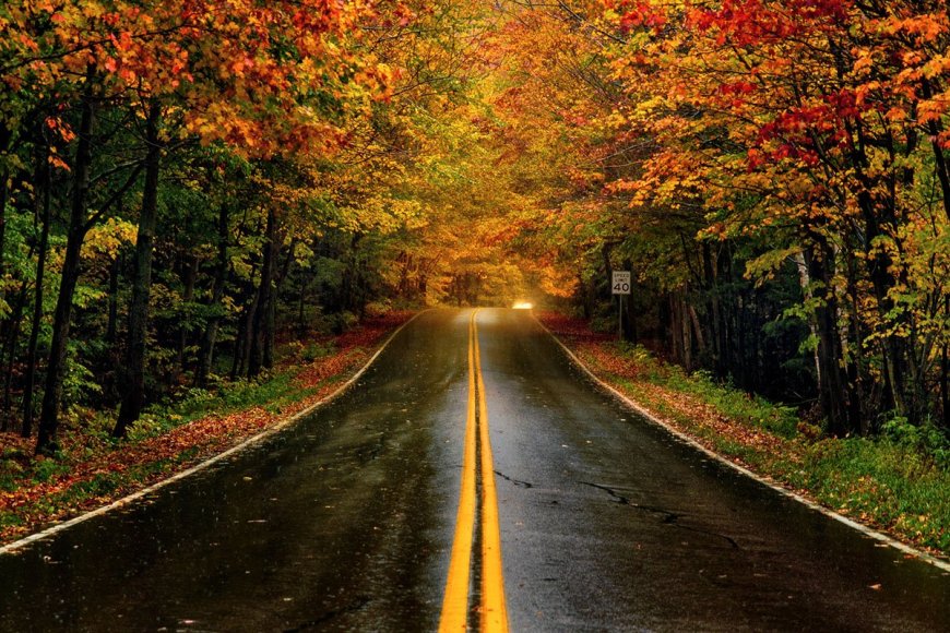Early Fall Foliage: Here’s Where to Go and When to See Colorful Leaves ASAP
