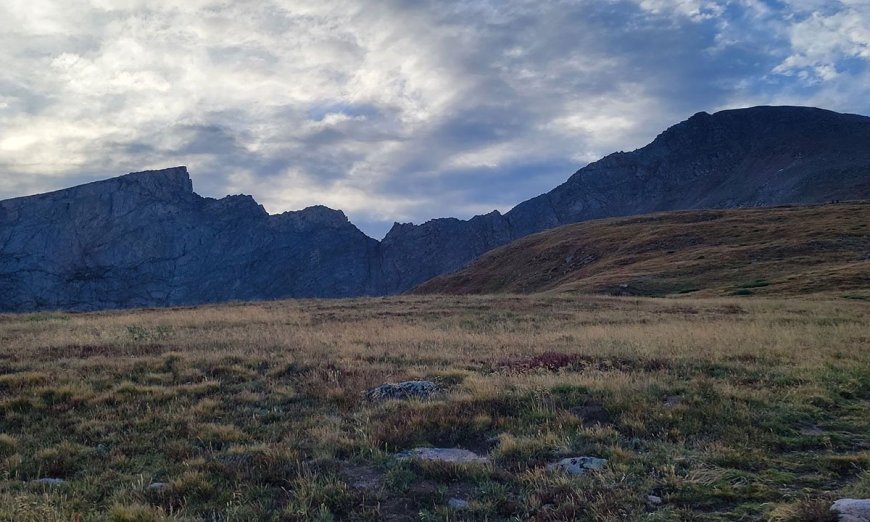 14 Dog-Friendly Trails in the U.S.