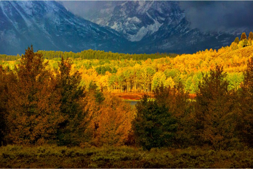 How to Find Fall Foliage Near You: The Best Websites to Guide Your Autumn Hikes
